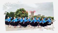 安徽安庆霓裳广场舞向往拉萨-团队演示