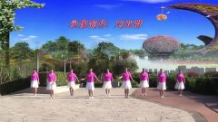西安华清群广场舞爱的分享-（二队）-团队演示