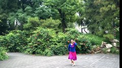 北京东风广场舞凤凰花季-单人演示