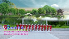 北京加州飞龙广场舞水墨中国-团队演示