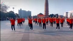 蒲城梦之韵广场舞舞动中国-集体演示