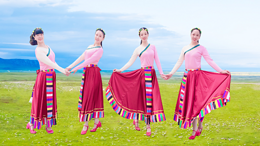 盛泽雨夜广场舞美在白马-藏族舞蹈附教学