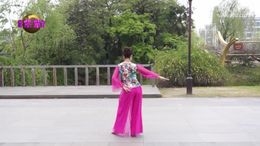 紫紫雨广场舞旗袍赋-附背面演示