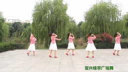 宜兴绿茶广场舞拉着妈妈的手-团队演示
