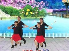 冰璐广场舞西藏情歌-双人舞
