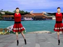 龙游红飞舞广场舞点赞新时代-原创