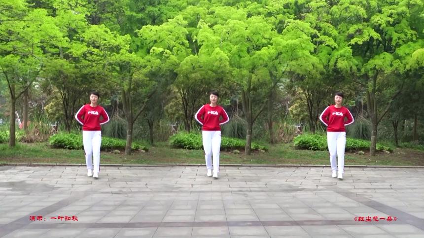 贵州快乐广场舞红尘花一朵-个人版鬼步舞